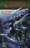 Los Mundos de Dungeons and Dragons 1 - c�mic