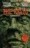 The Relic - El �dolo Perdido