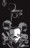 Cuentos de Edgar Allan Poe - c�mic
