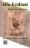 Alfa Eridiani 27 - ebook
