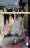 Los Ping�inos Tambi�n se Ahogan - r�stica