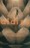 Invern�culo